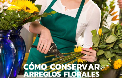 Aprende a prolongar la vida de tus ramos de flores en casa. Guía práctica para tulipanes, rosas y más en ambientes frescos.